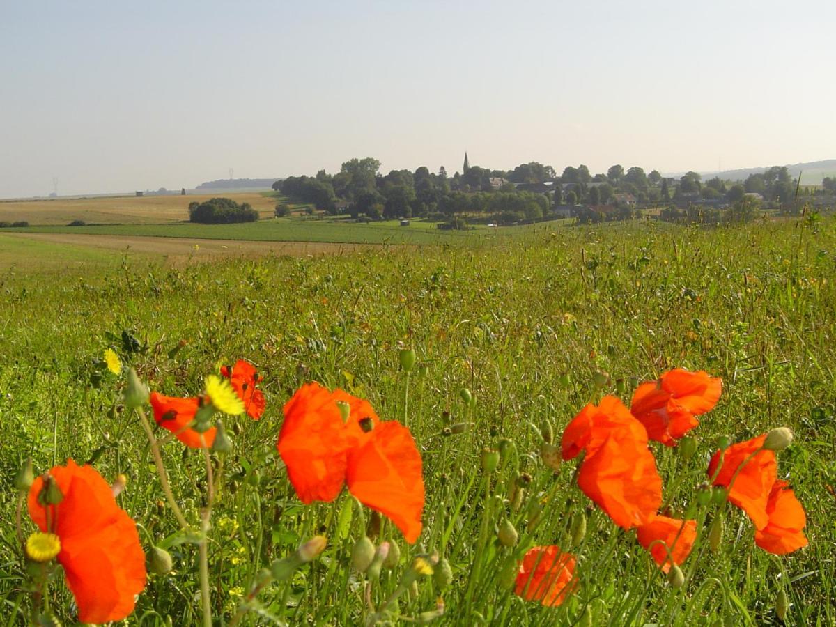 Chavasse House, Chavasse Farm, Somme Βίλα Hardecourt-aux-Bois Εξωτερικό φωτογραφία